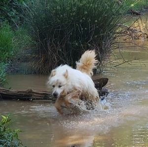 Cosmetics, Skincare, Vintage